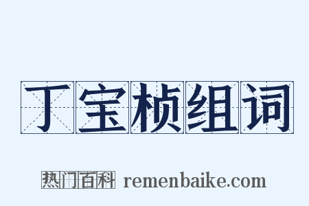 丁宝桢组词是什么意思的图片